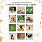RED EMBER French Bulldog Puppies 2026 Wall Calendar 12 Month | 12" x 24" Open | Thick & Sturdy Paper | Holiday Gift | Cute Frenchie Puppy Dog Calendar 2026