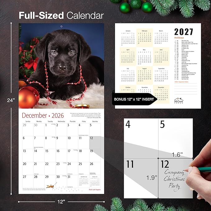 MICASA PRESS Black Lab Puppies 2026 Wall Calendar 12 Month | 12" x 24" Open | Thick & Sturdy Paper | Holiday Gift | Cute Labrador Retriever Puppy Dog Calendar 2026