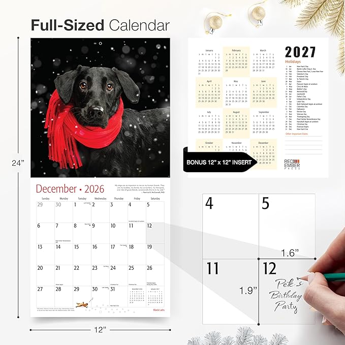 RED EMBER Black Labs 2026 Wall Calendar 12 Month | 12" x 24" Open | Thick & Sturdy Paper | Holiday Gift | Cute Labrador Retriever Puppy Dog Calendar 2026