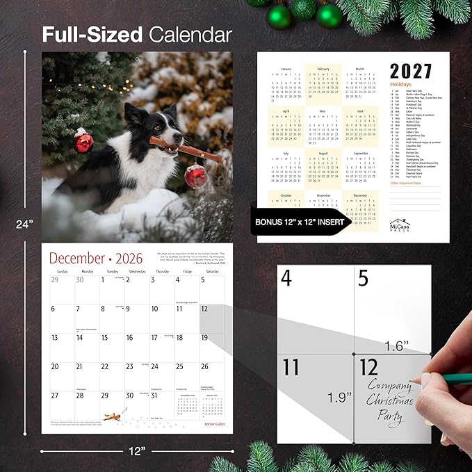 MICASA PRESS Border Collies 2026 Wall Calendar 12 Month | 12" x 24" Open | Thick & Sturdy Paper | Holiday Gift | Cute Puppy Dog Calendar 2026