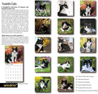 2026 Wall Calendar,Calendar 2026, November 2025 - December 2026, Wall Calendar Tuxedo Cats, 12" x 24" Opened,Full Page Months Thick & Sturdy Paper for Calendar Organizing & Planning