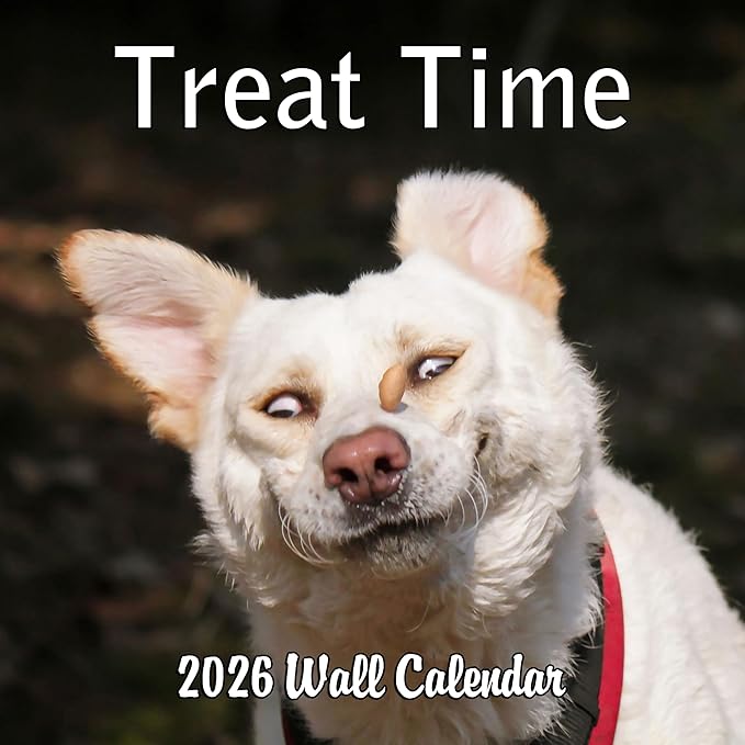 2026 Treat Time Monthly Wall Calendar | Funny Dogs Calendar September 2025 - December 2026