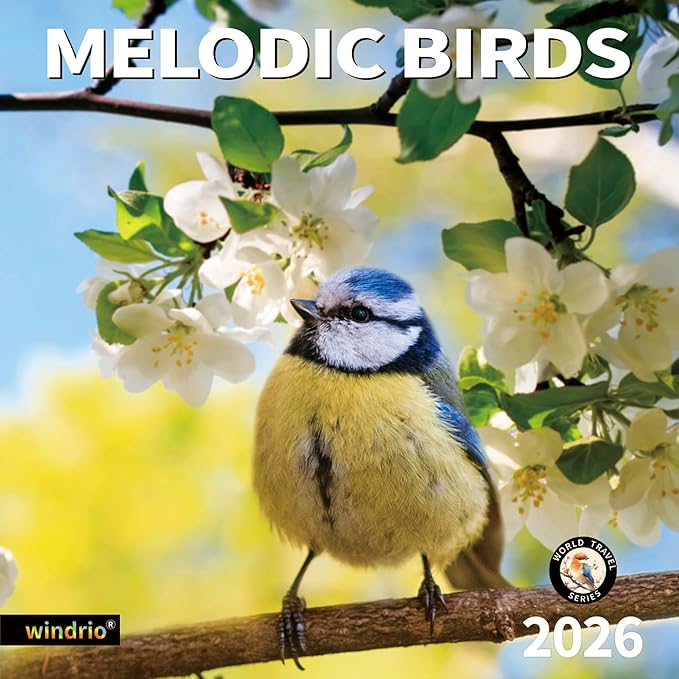 windrio 2026 Wall Calendar, Calendar 2026, November 2025 - December 2026, Wall Calendar Song Birds, 12" x 24" Opened,Full Page Months Thick & Sturdy Paper for Calendar Organizing & Planning