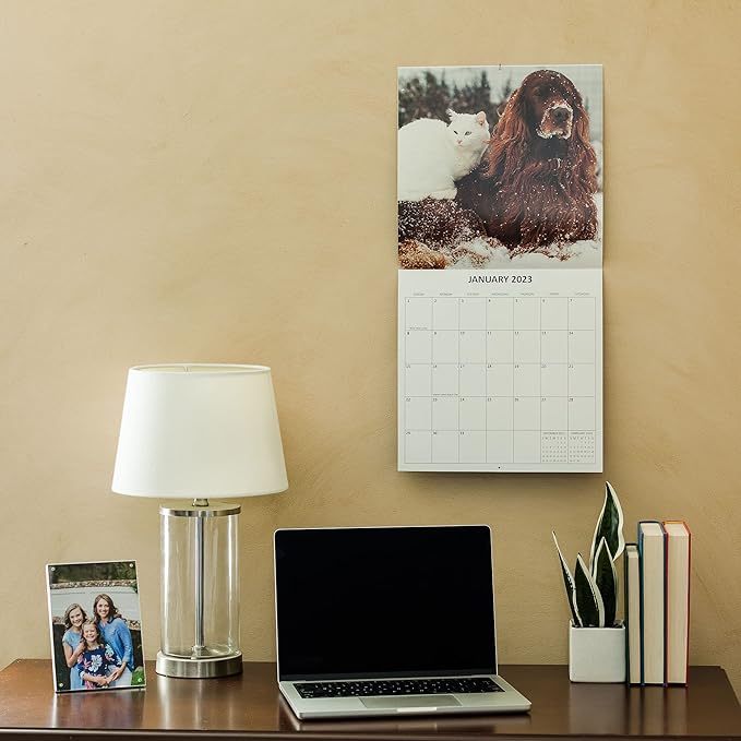 2026 Dog & Cat Friends Monthly Wall Calendar | Cute Animals Calendar 2025-2026