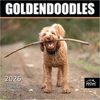 MICASA PRESS Goldendoodles 2026 Wall Calendar 12 Month | 12" x 24" Open | Thick & Sturdy Paper | Holiday Gift | Cute Puppy Dog Calendar 2026