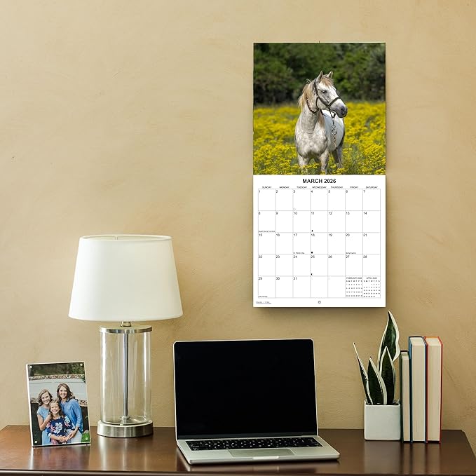 2026 Horses Monthly Wall Calendar | Animals Calendar 2025-2026