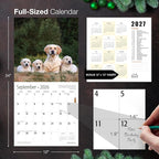 MICASA PRESS Golden Retrievers 2026 Wall Calendar 12 Month | 12" x 24" Open | Thick & Sturdy Paper | Holiday Gift | Cute Puppy Dog Calendar 2026