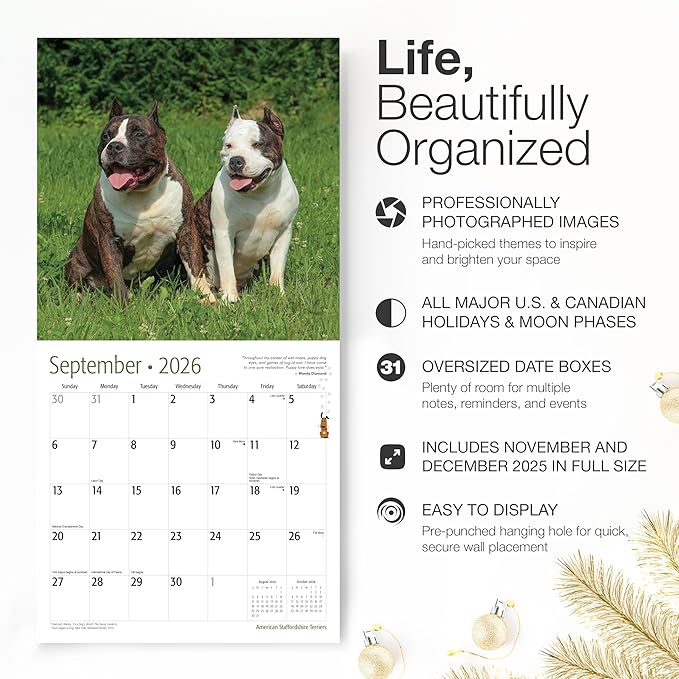 RED EMBER American Staffordshire Terriers 2026 Wall Calendar 12 Month | 12" x 24" Open | Thick & Sturdy Paper | Holiday Gift | Cute Puppy Dog Calendar 2026