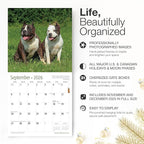 RED EMBER American Staffordshire Terriers 2026 Wall Calendar 12 Month | 12" x 24" Open | Thick & Sturdy Paper | Holiday Gift | Cute Puppy Dog Calendar 2026
