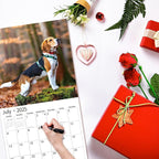 2026 Wall Calendar,Calendar 2026, November 2025 - December 2026, Wall Calendar Beagles, 12" x 24" Opened,Full Page Months Thick & Sturdy Paper for Calendar Organizing & Planning