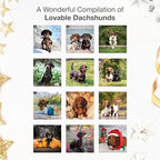 RED EMBER Dachshunds 2026 Wall Calendar 12 Month | 12" x 24" Open | Thick & Sturdy Paper | Holiday Gift | Cute Puppy Weiner Dog Calendar 2026