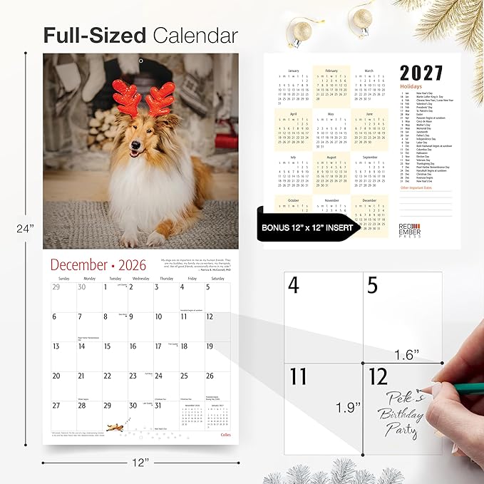 RED EMBER Collies 2026 Wall Calendar 12 Month | 12" x 24" Open | Thick & Sturdy Paper | Holiday Gift | Cute Puppy Dog Calendar 2026