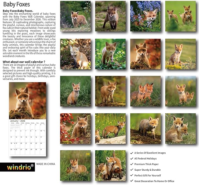 windrio 2026 Wall Calendar, Calendar 2026, July 2025 - December 2026, Wall Calendar Baby Foxes, 12" x 24" Opened,Full Page Months Thick & Sturdy Paper for Calendar Organizing & Planning