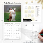 RED EMBER Ragdoll Cats 2026 Wall Calendar 12 Month | 12" x 24" Open | Thick & Sturdy Paper | Holiday Gift | Cute Kitten Cat Calendar 2026