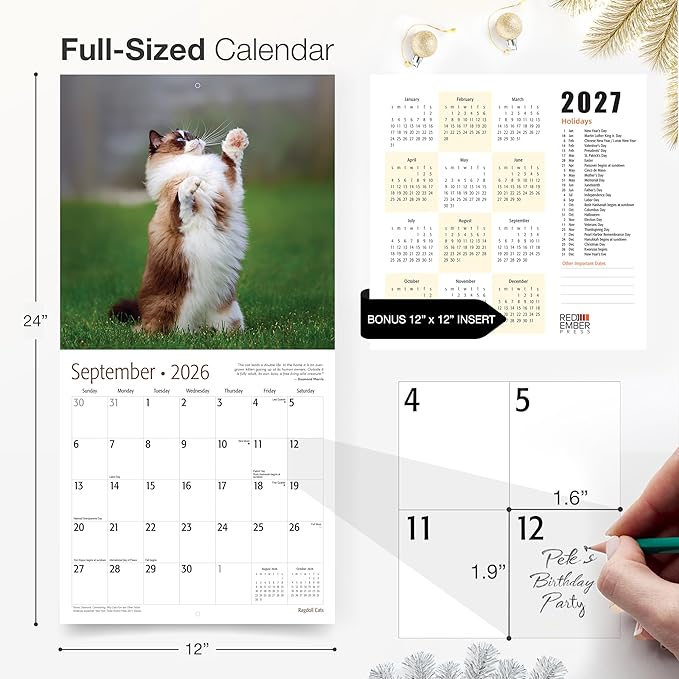RED EMBER Ragdoll Cats 2026 Wall Calendar 12 Month | 12" x 24" Open | Thick & Sturdy Paper | Holiday Gift | Cute Kitten Cat Calendar 2026