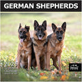 MICASA PRESS - German Shepherds 2025 Wall Calendar 12 Month | 12" x 24" Open | Thick & Sturdy Paper | Giftable | Dog Calendar 2025