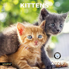 2026 Wall Calendar,Calendar 2026, November 2025 - December 2026, Wall Calendar Kittens, 12" x 24" Opened,Full Page Months Thick & Sturdy Paper for Gift Perfect Calendar Organizing & Planning