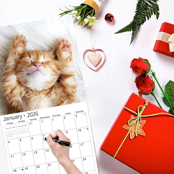 2026 Wall Calendar,Calendar 2026, November 2025 - December 2026, Wall Calendar Baby Kitten, 12" x 24" Opened,Full Page Months Thick & Sturdy Paper for Calendar Organizing & Planning