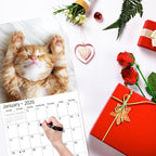2026 Wall Calendar,Calendar 2026, November 2025 - December 2026, Wall Calendar Baby Kitten, 12" x 24" Opened,Full Page Months Thick & Sturdy Paper for Calendar Organizing & Planning
