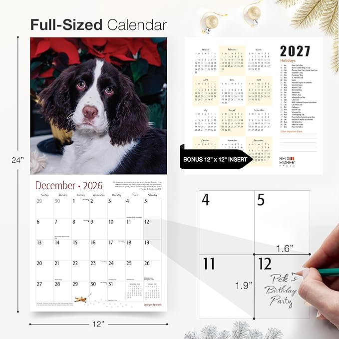 RED EMBER Springer Spaniels 2026 Wall Calendar 12 Month | 12" x 24" Open | Thick & Sturdy Paper | Holiday Gift | Cute Puppy Dog Calendar 2026