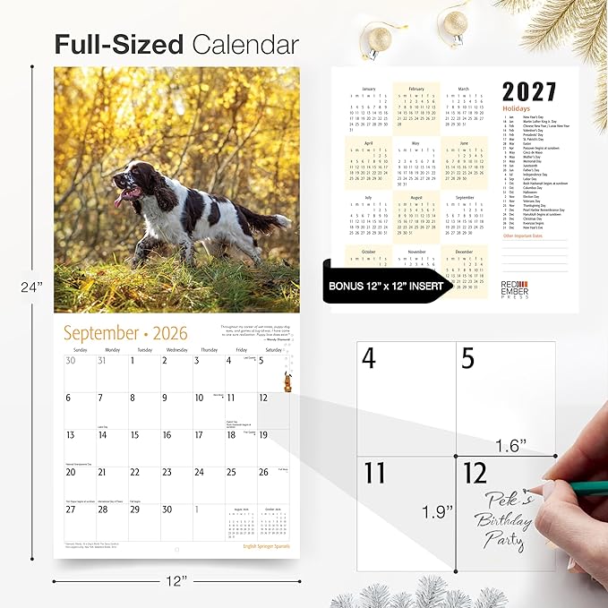 RED EMBER English Springer Spaniels 2026 Wall Calendar 12 Month | 12" x 24" Open | Thick & Sturdy Paper | Holiday Gift | Cute Puppy Dog Calendar 2026