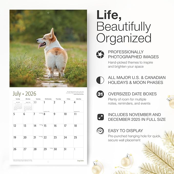 RED EMBER Corgi Butts 2026 Wall Calendar 12 Month | 12" x 24" Open | Thick & Sturdy Paper | Holiday Gift | Funny Cute Puppy Dog Calendar 2026