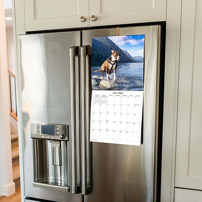 2026 Boxers Monthly Wall Calendar | Boxer Dog Breed 2026 Wall Calendar 2025-2026