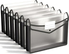 ABC life 6 Pack Plastic Expanding File Folder, Folders for Documents with Snap Closure, Black File Folder Organizer Holder, Transparent Accordion File Pouch,Large Capacity, Fit Letter/A4 Size - Black
