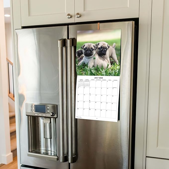 2026 Pugs Monthly Wall Calendar | Cute Dogs Calendar September 2025 - December 2026