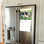 2026 Pugs Monthly Wall Calendar | Cute Dogs Calendar September 2025 - December 2026