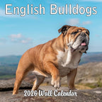 2026 English Bulldogs Monthly Wall Calendar | Cute Dogs Calendar September 2025 - December 2026