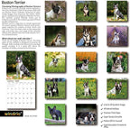 2026 Wall Calendar,Calendar 2026, November 2025 - December 2026, Wall Calendar Boston Terriers, 12" x 24" Opened,Full Page Months Thick & Sturdy Paper for Calendar Organizing & Planning