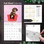 MICASA PRESS Longhaired Dachshund Puppies 2026 Wall Calendar 12 Month | 12" x 24" Open | Thick & Sturdy Paper | Holiday Gift | Cute Weiner Puppy Dog Calendar 2026