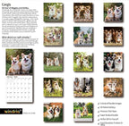 2026 Wall Calendar,Calendar 2026, November 2025 - December 2026, Wall Calendar Corgis, 12" x 24" Opened,Full Page Months Thick & Sturdy Paper for Gift Perfect Calendar Organizing & Planning