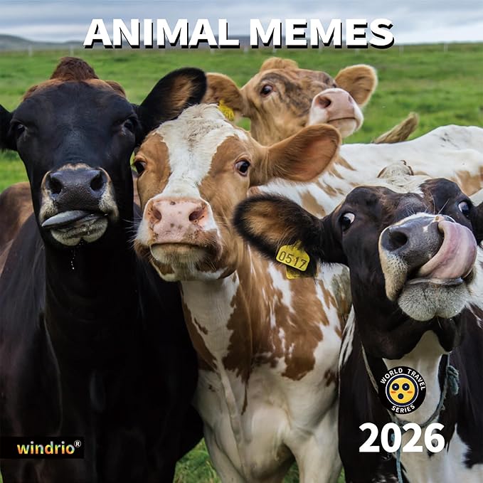 2026 Wall Calendar,Funny Calendar 2026, November 2025 - December 2026, Wall Calendar Funny Animal Memes, 12" x 24" Opened, Full Page 12 Months Thick Paper for Gift Calendar Organizing Planning