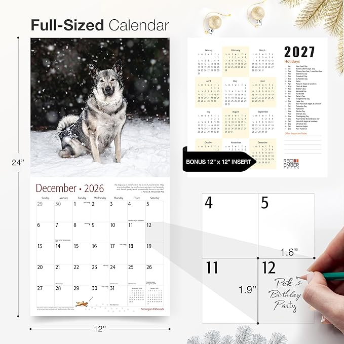 RED EMBER Norwegian Elkhounds 2026 Wall Calendar 12 Month | 12" x 24" Open | Thick & Sturdy Paper | Holiday Gift | Cute Puppy Dog Calendar 2026