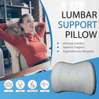 Lofty Aim Classic Memory Foam Lumbar Cushion Provides Excellent Back Support and Pain Relief - Back Cushion for Driving, Chair Support for Car-Office Chair, Wheelchair - Classic Gray