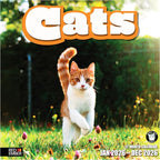 RED EMBER Cats 2026 Wall Calendar 12 Month | 12" x 24" Open | Thick & Sturdy Paper | Holiday Gift | Cute Kitten Cat Calendar 2026