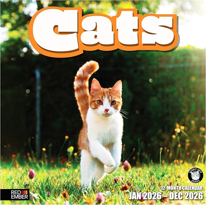 RED EMBER Cats 2026 Wall Calendar 12 Month | 12" x 24" Open | Thick & Sturdy Paper | Holiday Gift | Cute Kitten Cat Calendar 2026