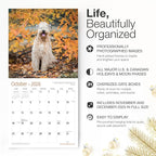 RED EMBER Soft Coated Wheaten Terriers 2026 Wall Calendar 12 Month | 12" x 24" Open | Thick & Sturdy Paper | Holiday Gift | Cute Puppy Dog Calendar 2026