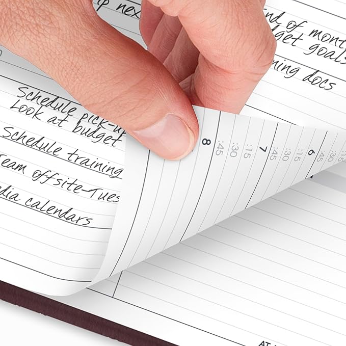 AT-A-GLANCE 2026 Appointment Book Planner, Weekly, 8-1/4" x 11", Large, Winestone (709505026)