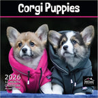 MICASA PRESS Corgi Puppies 2026 Wall Calendar 12 Month | 12" x 24" Open | Thick & Sturdy Paper | Holiday Gift | Cute Puppy Dog Calendar 2026
