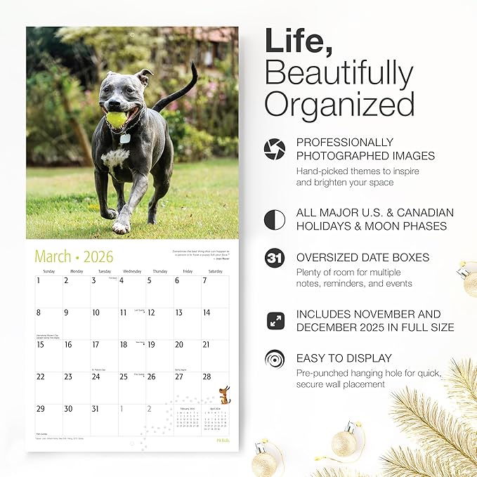 RED EMBER Pit Bulls 2026 Wall Calendar 12 Month | 12" x 24" Open | Thick & Sturdy Paper | Holiday Gift | Cute Puppy Dog Calendar 2026