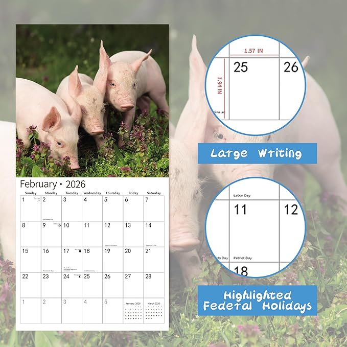 2026 Wall Calendar,Calendar 2026, November 2025 - December 2026, Wall Calendar Pigs & Piglets, 12" x 24" Opened,Full Page Months Thick & Sturdy Paper for Gift Perfect Calendar Organizing & Planning