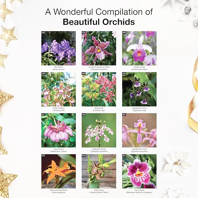 RED EMBER Orchids 2026 Wall Calendar 12 Month | 12" x 24" Open | Thick & Sturdy Paper | Holiday Gift | Flower Nature Calendar 2026