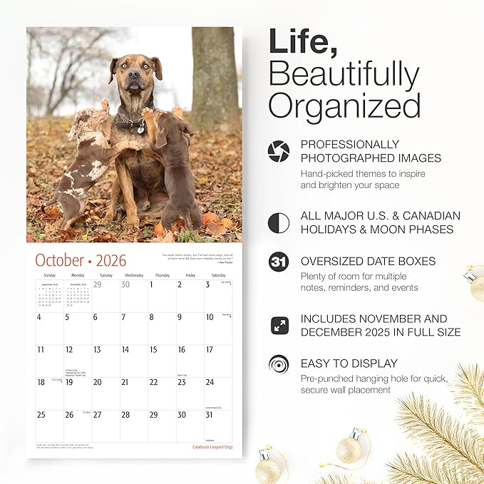 RED EMBER Catahoula Leopard Dogs 2026 Wall Calendar 12 Month | 12" x 24" Open | Thick & Sturdy Paper | Holiday Gift | Cute Puppy Dog Calendar 2026