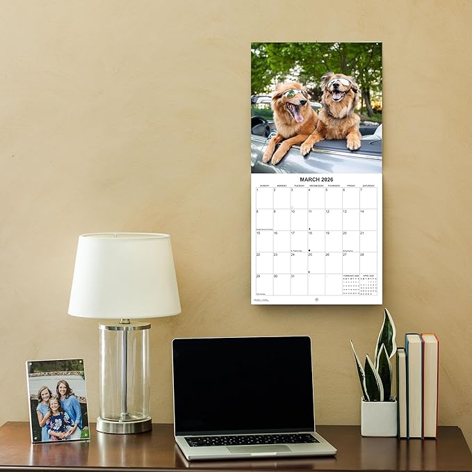 2026 Silly Dogs Monthly Wall Calendar | Funny Dogs Calendar September 2025 - December 2026