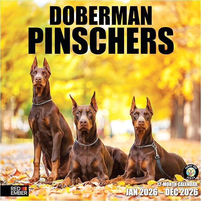 RED EMBER Doberman Pinschers 2026 Wall Calendar 12 Month | 12" x 24" Open | Thick & Sturdy Paper | Holiday Gift | Cute Puppy Dog Calendar 2026