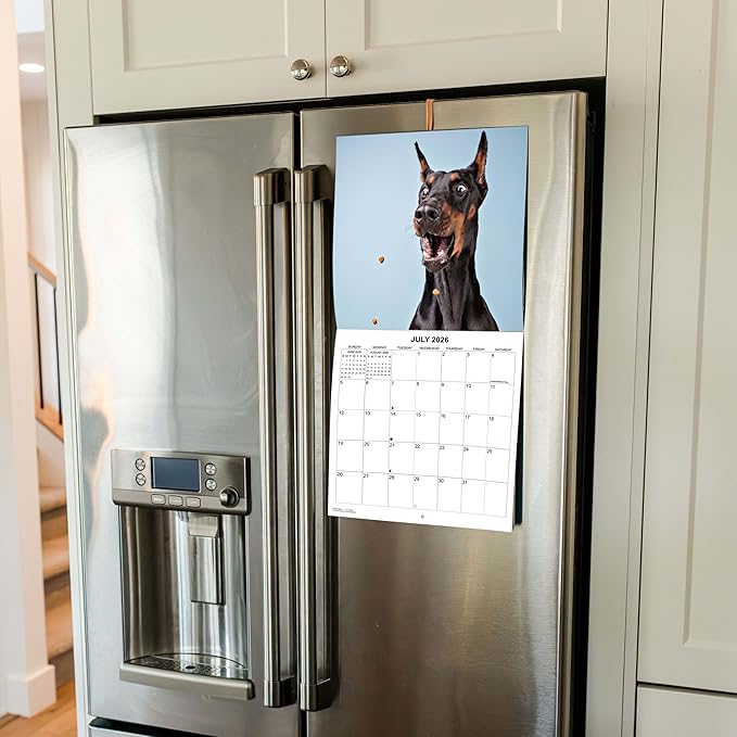 2026 Treat Time Monthly Wall Calendar | Funny Dogs Calendar September 2025 - December 2026