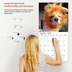 2026 Wall Calendar,Funny Calendar 2026, November 2025 - December 2026, Wall Calendar Funny Animal Memes, 12" x 24" Opened, Full Page 12 Months Thick Paper for Gift Calendar Organizing Planning